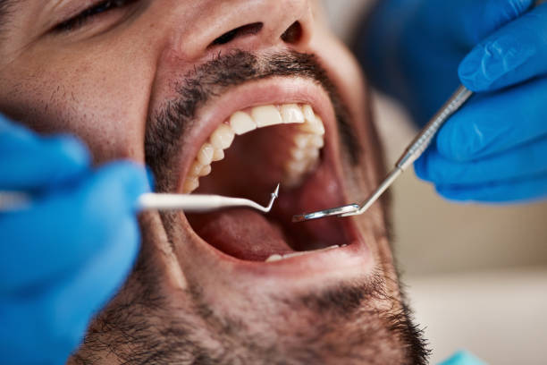 Best Emergency Orthodontic Services in Roodhouse, IL