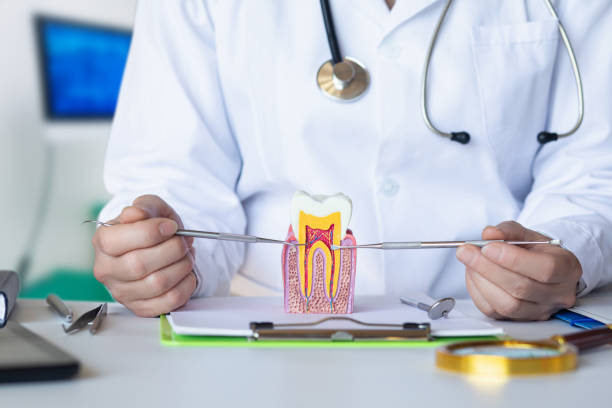 Best Emergency Root Canal Treatment in Roodhouse, IL